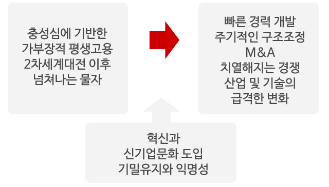 아낙스 P.L